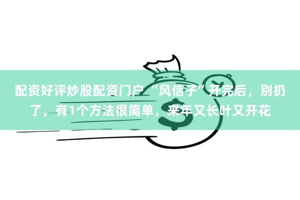 配资好评炒股配资门户 “风信子”开完后，别扔了，有1个方法很简单，来年又长叶又开花