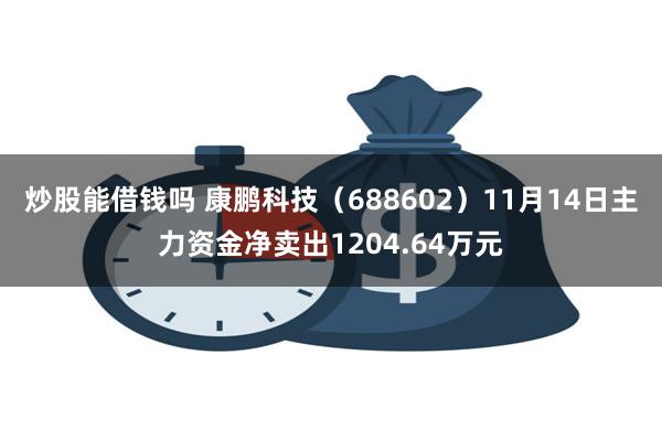 炒股能借钱吗 康鹏科技（688602）11月14日主力资金净卖出1204.64万元