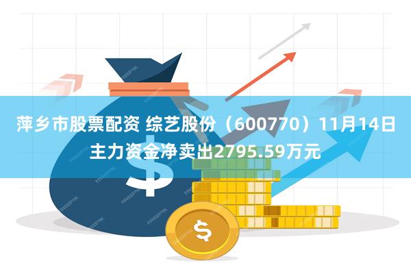 萍乡市股票配资 综艺股份（600770）11月14日主力资金净卖出2795.59万元
