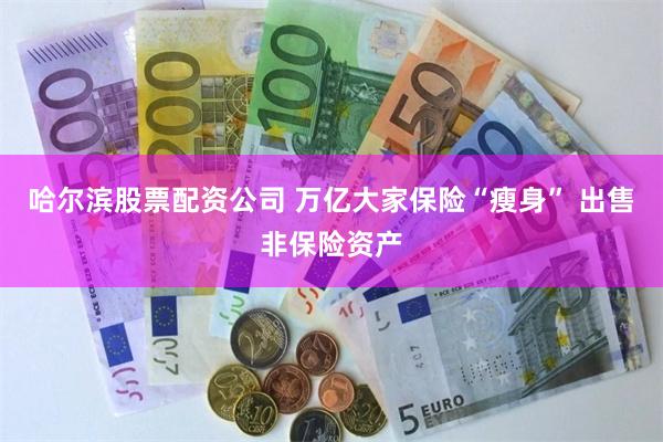 哈尔滨股票配资公司 万亿大家保险“瘦身” 出售非保险资产