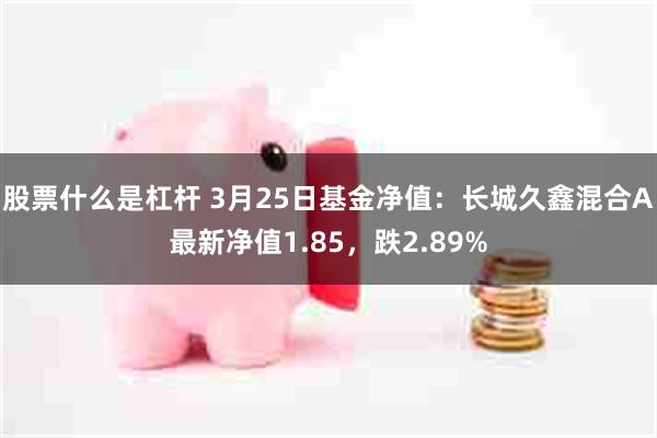 股票什么是杠杆 3月25日基金净值：长城久鑫混合A最新净值1.85，跌2.89%