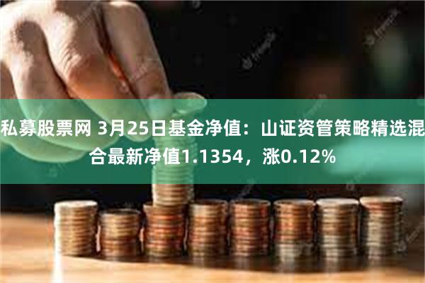 私募股票网 3月25日基金净值：山证资管策略精选混合最新净值1.1354，涨0.12%