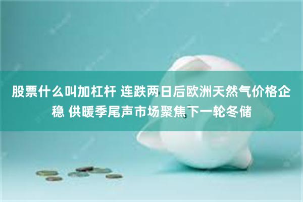 股票什么叫加杠杆 连跌两日后欧洲天然气价格企稳 供暖季尾声市场聚焦下一轮冬储
