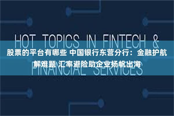 股票的平台有哪些 中国银行东营分行：金融护航解难题 汇率避险助企业扬帆出海