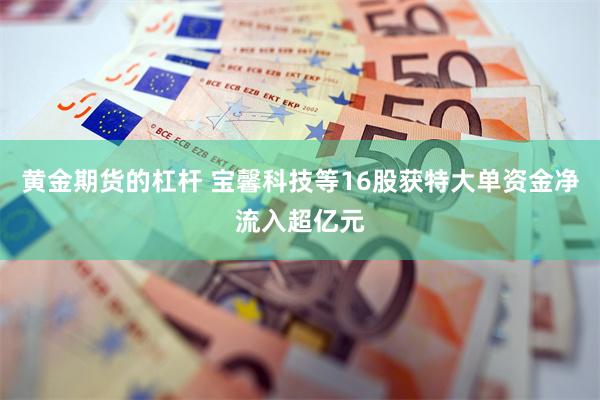 黄金期货的杠杆 宝馨科技等16股获特大单资金净流入超亿元