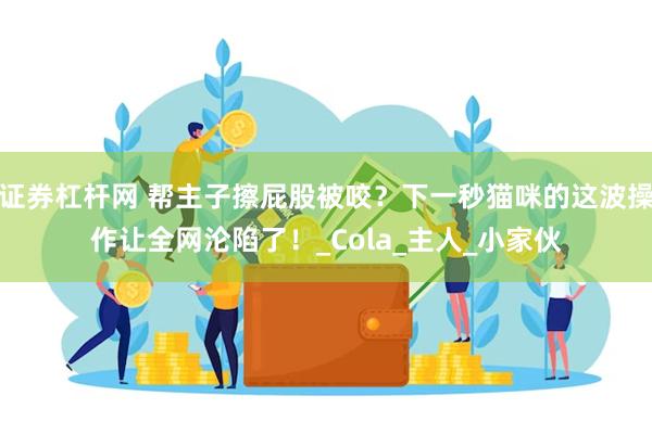 证券杠杆网 帮主子擦屁股被咬？下一秒猫咪的这波操作让全网沦陷了！_Cola_主人_小家伙