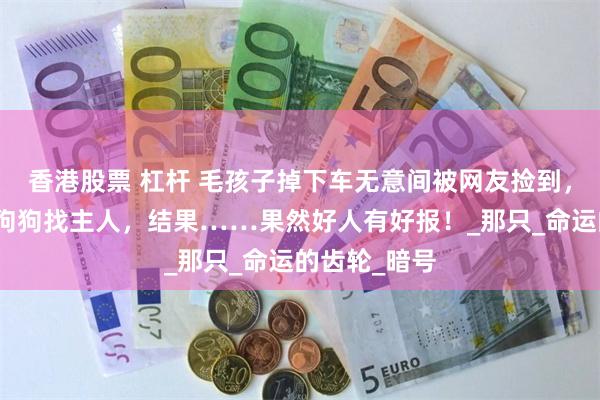 香港股票 杠杆 毛孩子掉下车无意间被网友捡到，网友开始给狗狗找主人，结果……果然好人有好报！_那只_命运的齿轮_暗号