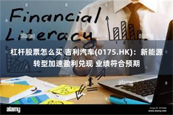 杠杆股票怎么买 吉利汽车(0175.HK)：新能源转型加速盈利兑现 业绩符合预期