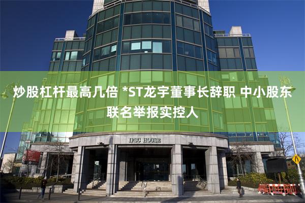 炒股杠杆最高几倍 *ST龙宇董事长辞职 中小股东联名举报实控人